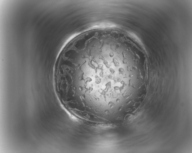 X0000066091103200603101159