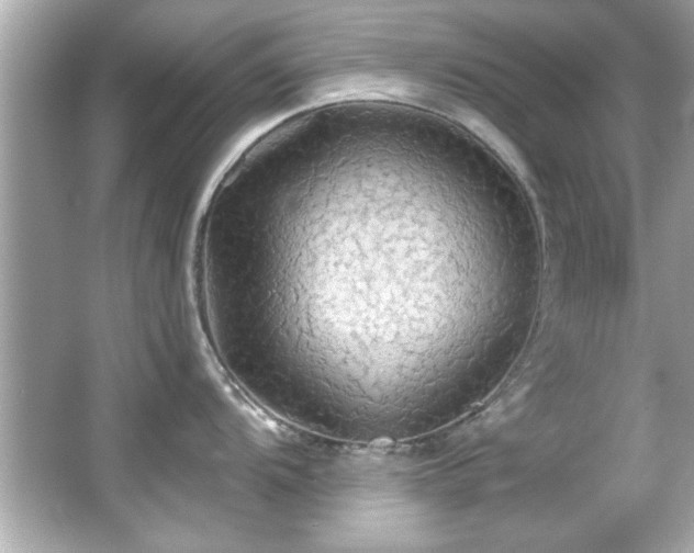 X0000066091104200603101159