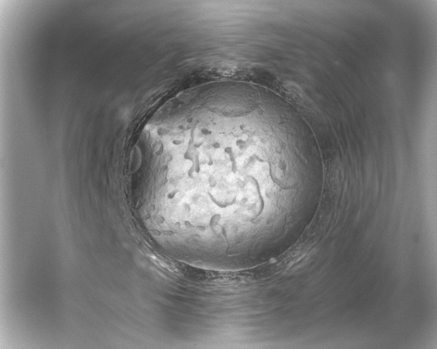 X0000066091105200603101159