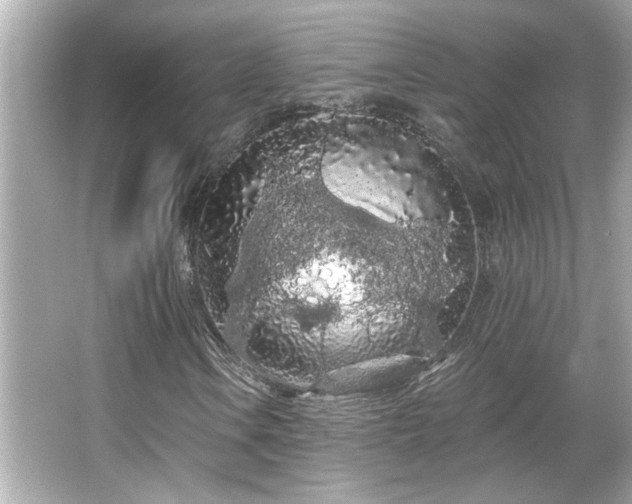 X0000066091106200603101159