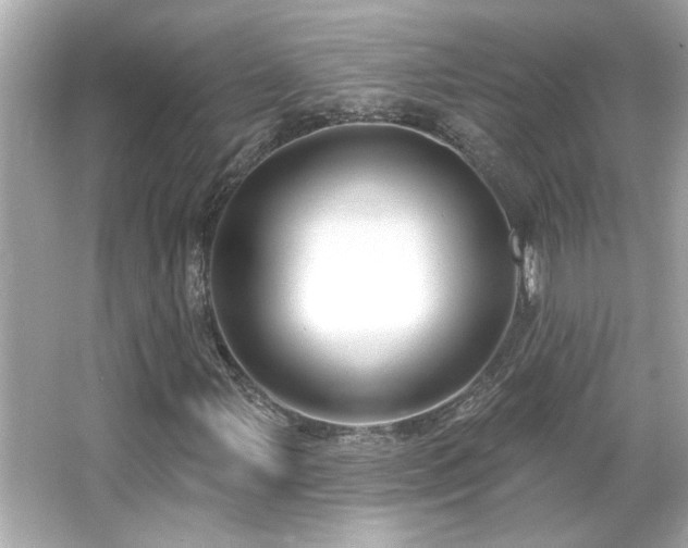 X0000066091107200603101159