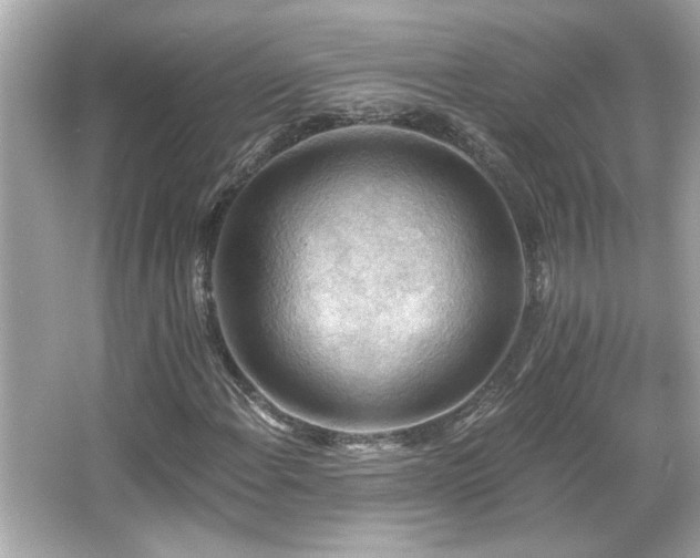 X0000066091108200603101159