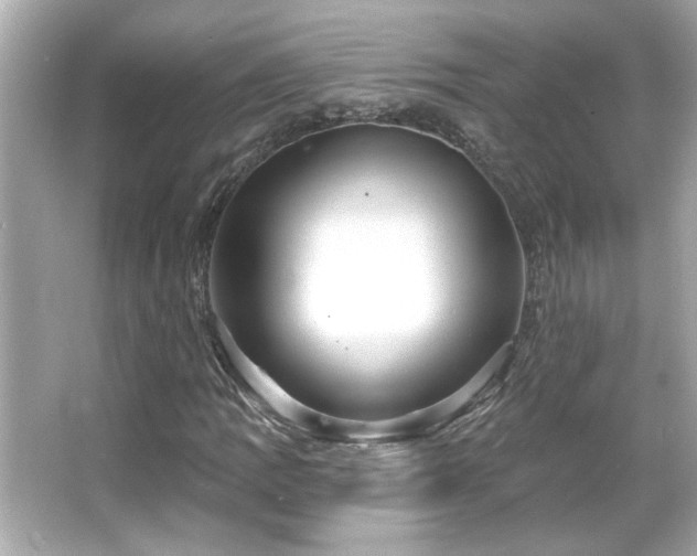 X0000066091109200603101159