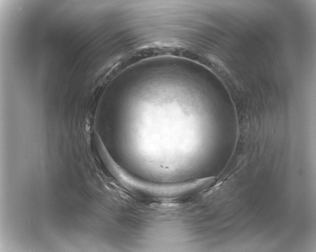 X0000066091110200603101159