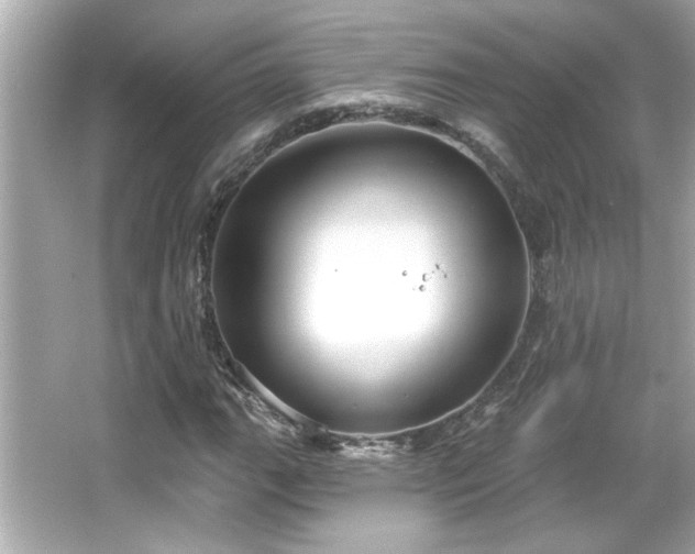 X0000066091111200603101159