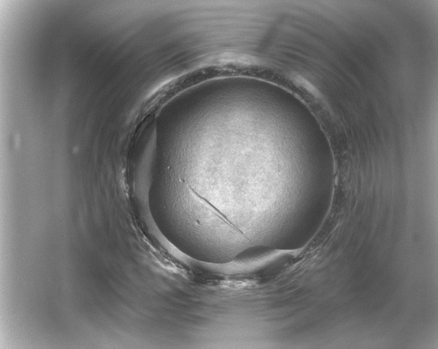 X0000066091112200603101159