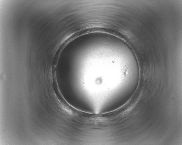 X0000066091113200603101159