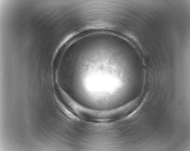 X0000066091114200603101159