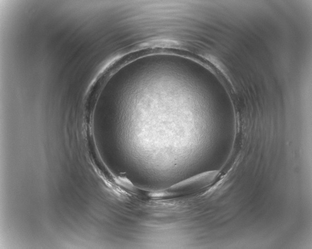 X0000066091115200603101159