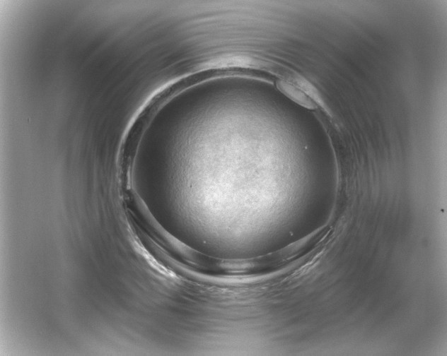 X0000066091116200603101159