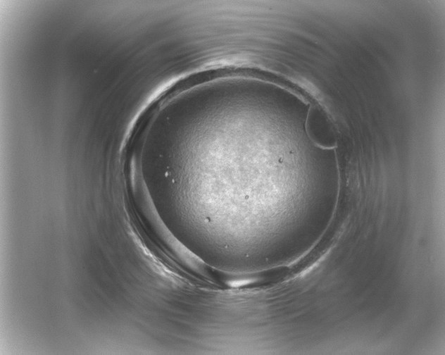 X0000066091118200603101159