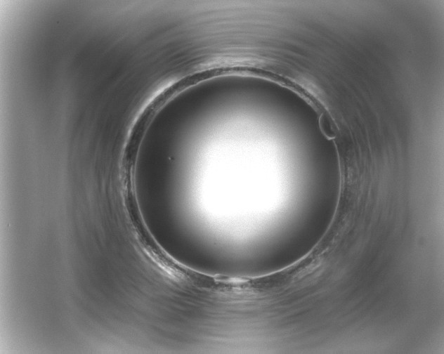 X0000066091119200603101159