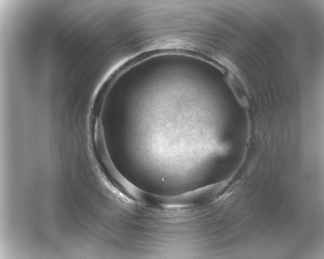 X0000066091120200603101159