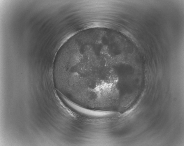 X0000066091121200603101159