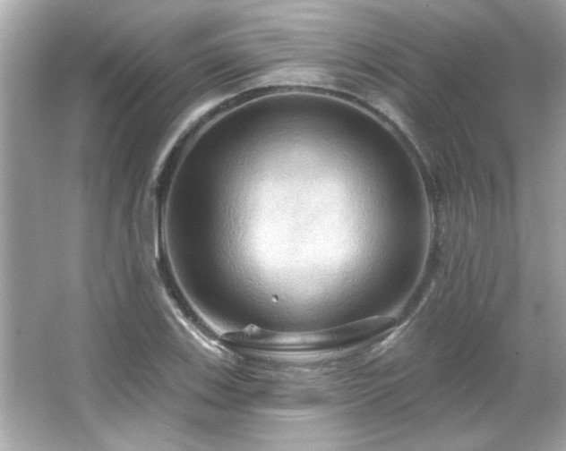 X0000066091123200603101159