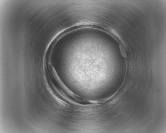 X0000066091124200603101159