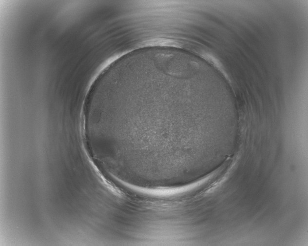 X0000066091125200603101159