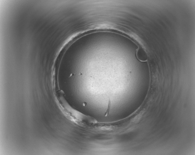 X0000066091126200603101159