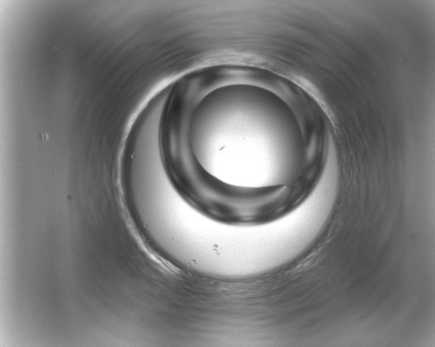 X0000066091128200603101159