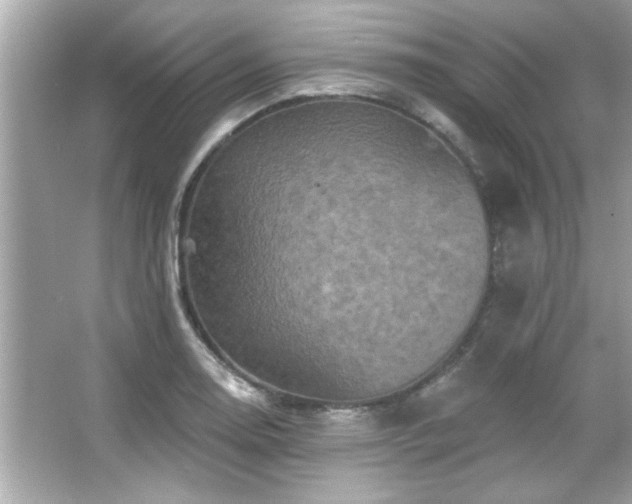 X0000066091130200603101159