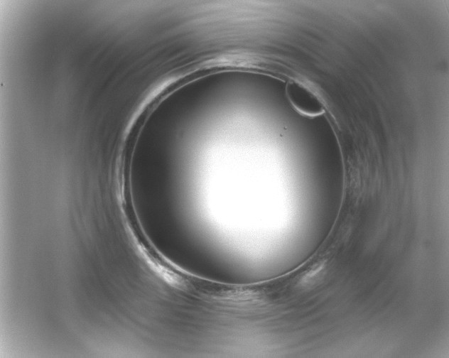 X0000066091131200603101159