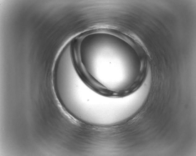 X0000066091132200603101159