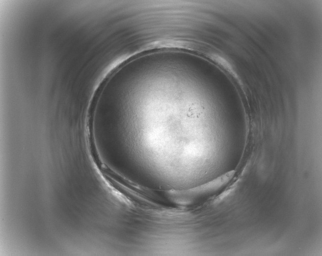 X0000066091133200603101159