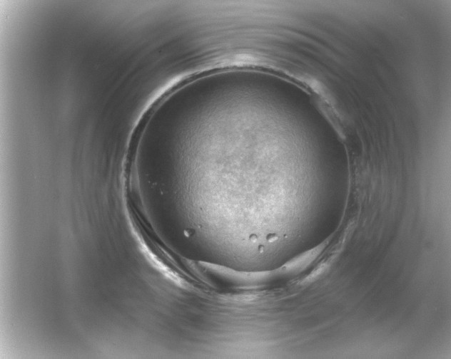 X0000066091134200603101159