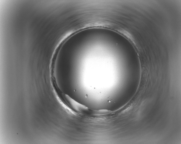 X0000066091135200603101159