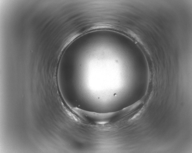 X0000066091137200603101159