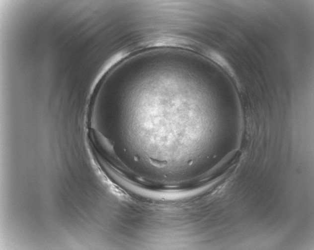 X0000066091138200603101159