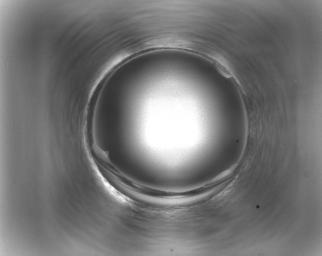 X0000066091139200603101159