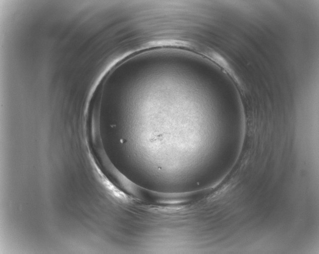 X0000066091140200603101159