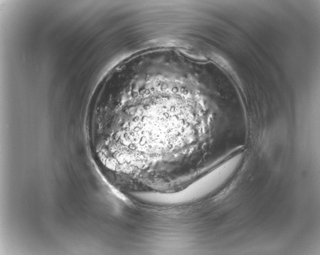 X0000066091141200603101159