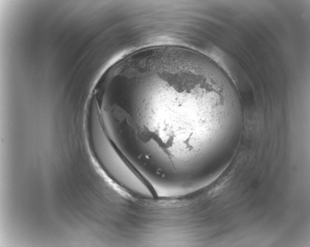 X0000066091142200603101159