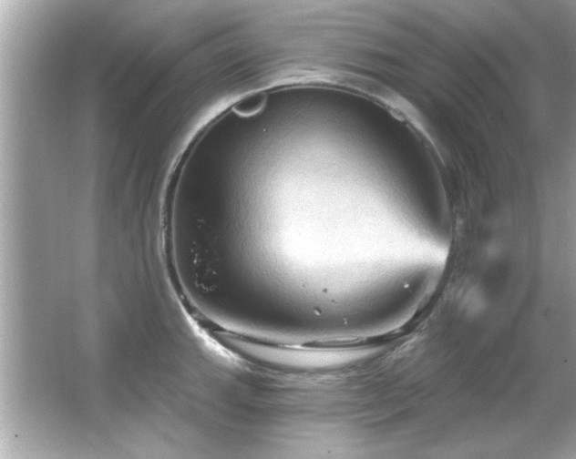 X0000066091143200603101159