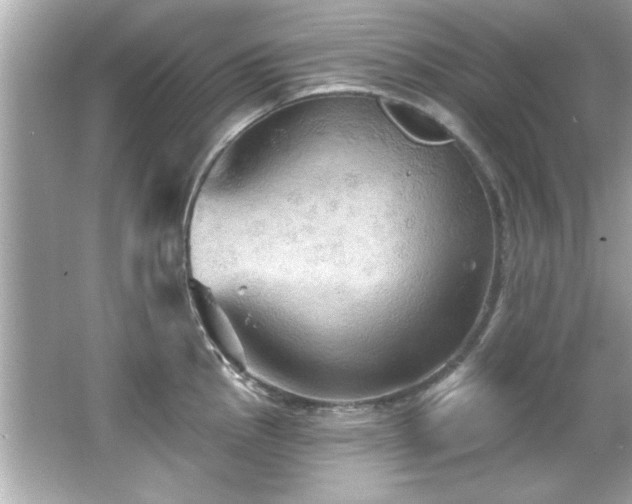 X0000066091145200603101159