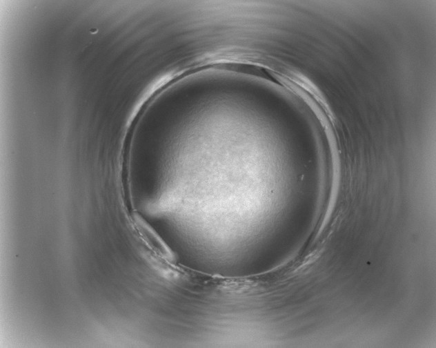 X0000066091146200603101159