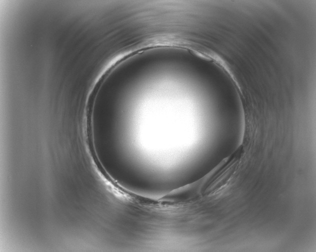 X0000066091147200603101159