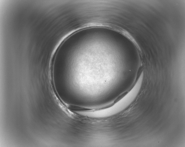 X0000066091148200603101159