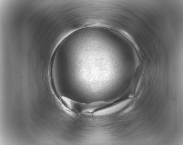 X0000066091149200603101159