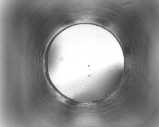 X0000066091150200603101159