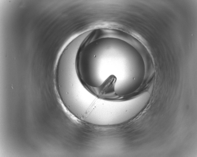 X0000066091152200603101159