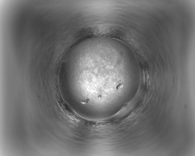 X0000066091153200603101159