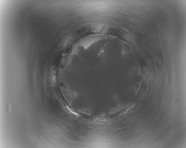 X0000066091154200603101159