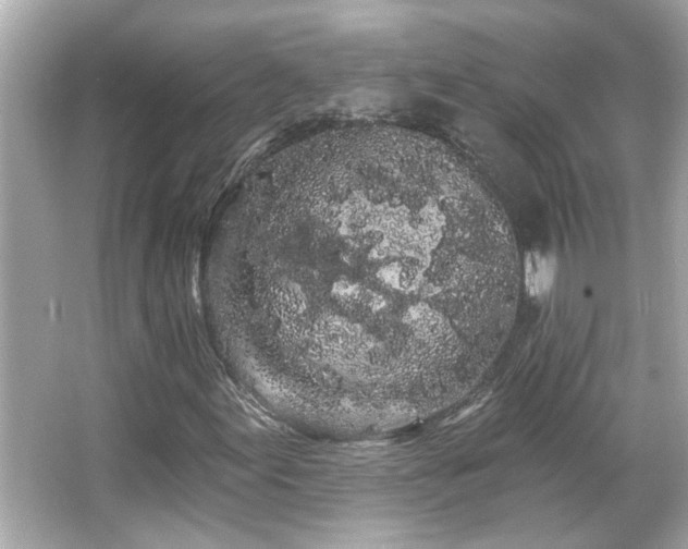 X0000066091155200603101159