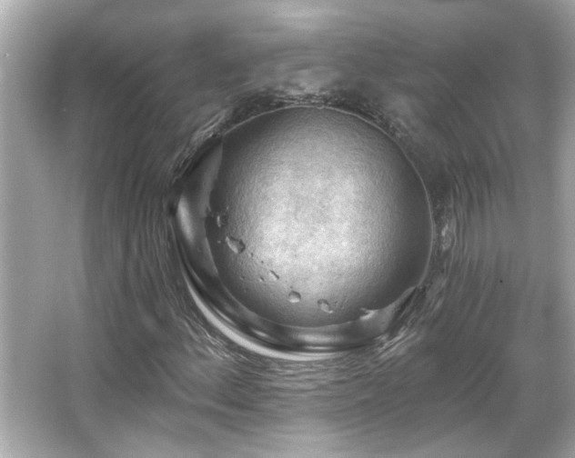 X0000066091156200603101159