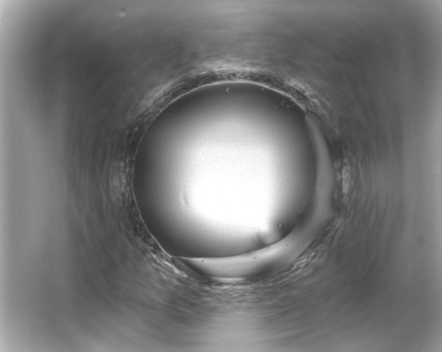 X0000066091157200603101159