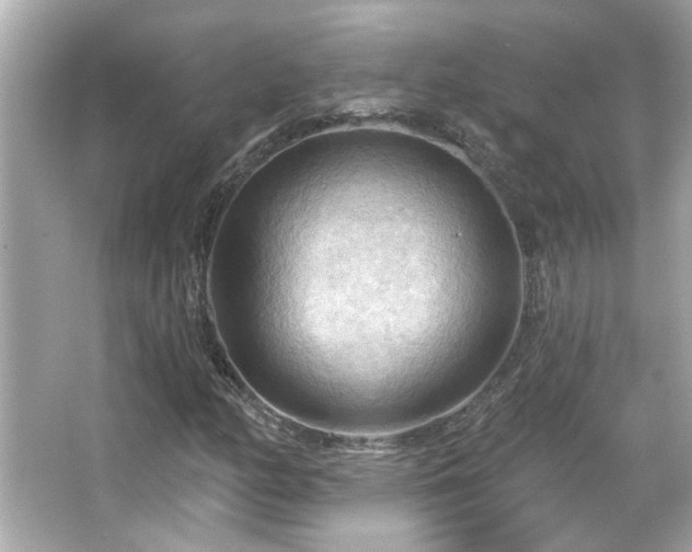 X0000066091158200603101158