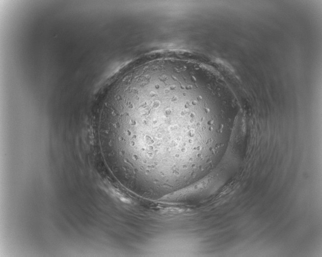 X0000066091159200603101158